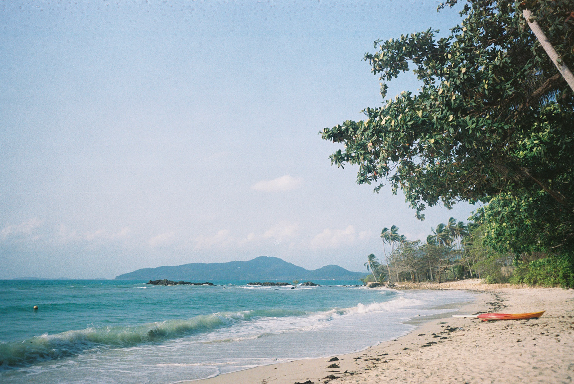 minolta x-700, portra 400