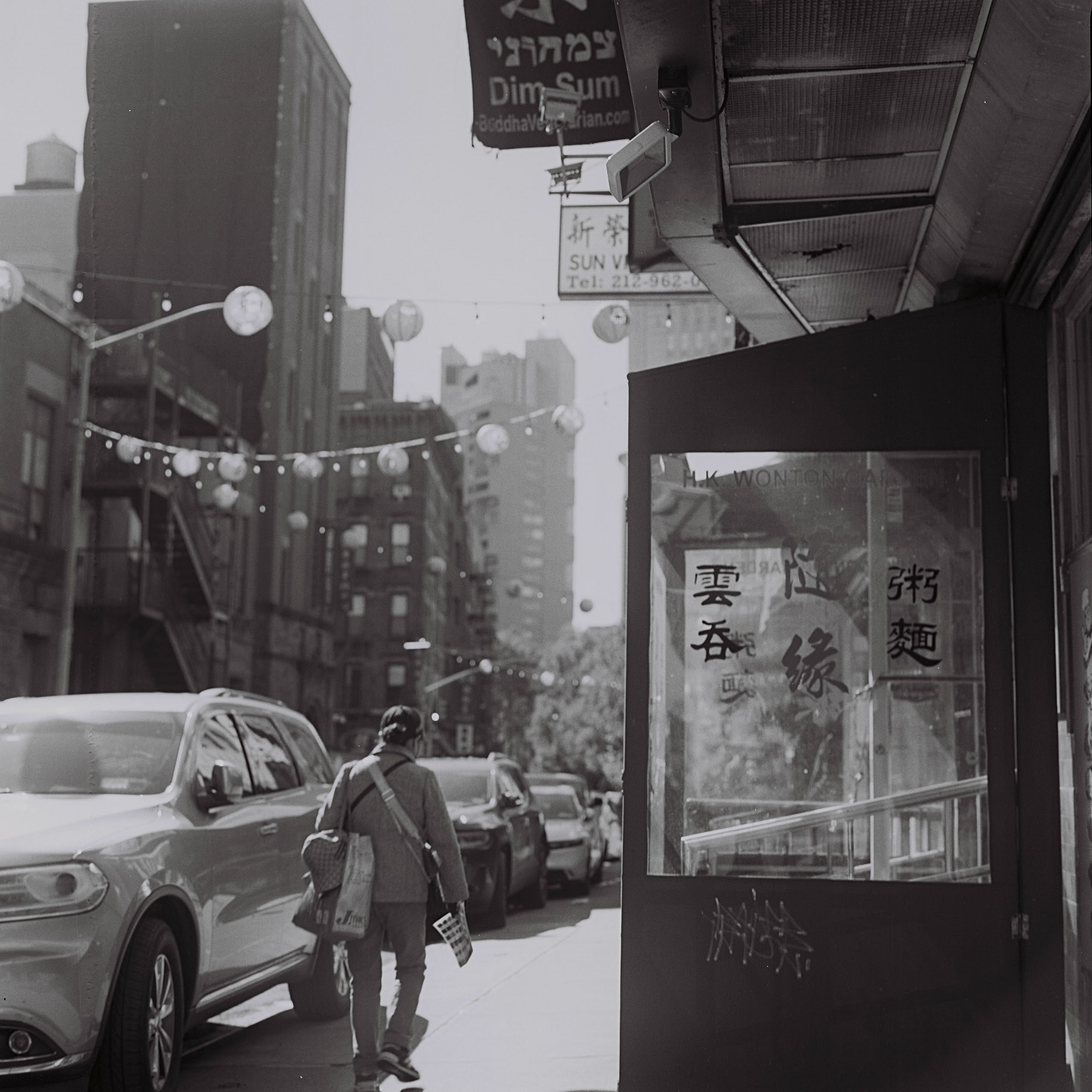 zenza bronica, medium format