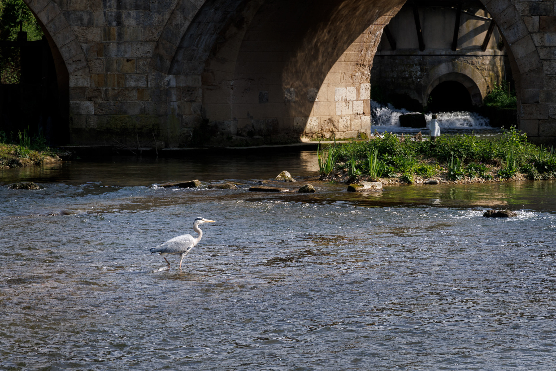 Le héron de Moret-sur-Loing