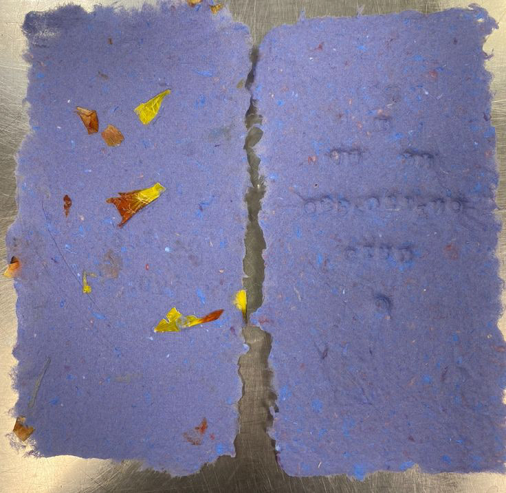 Paper making studies using embedding techniques. The left has tulip leaves embedded into the paper and the right uses beads.