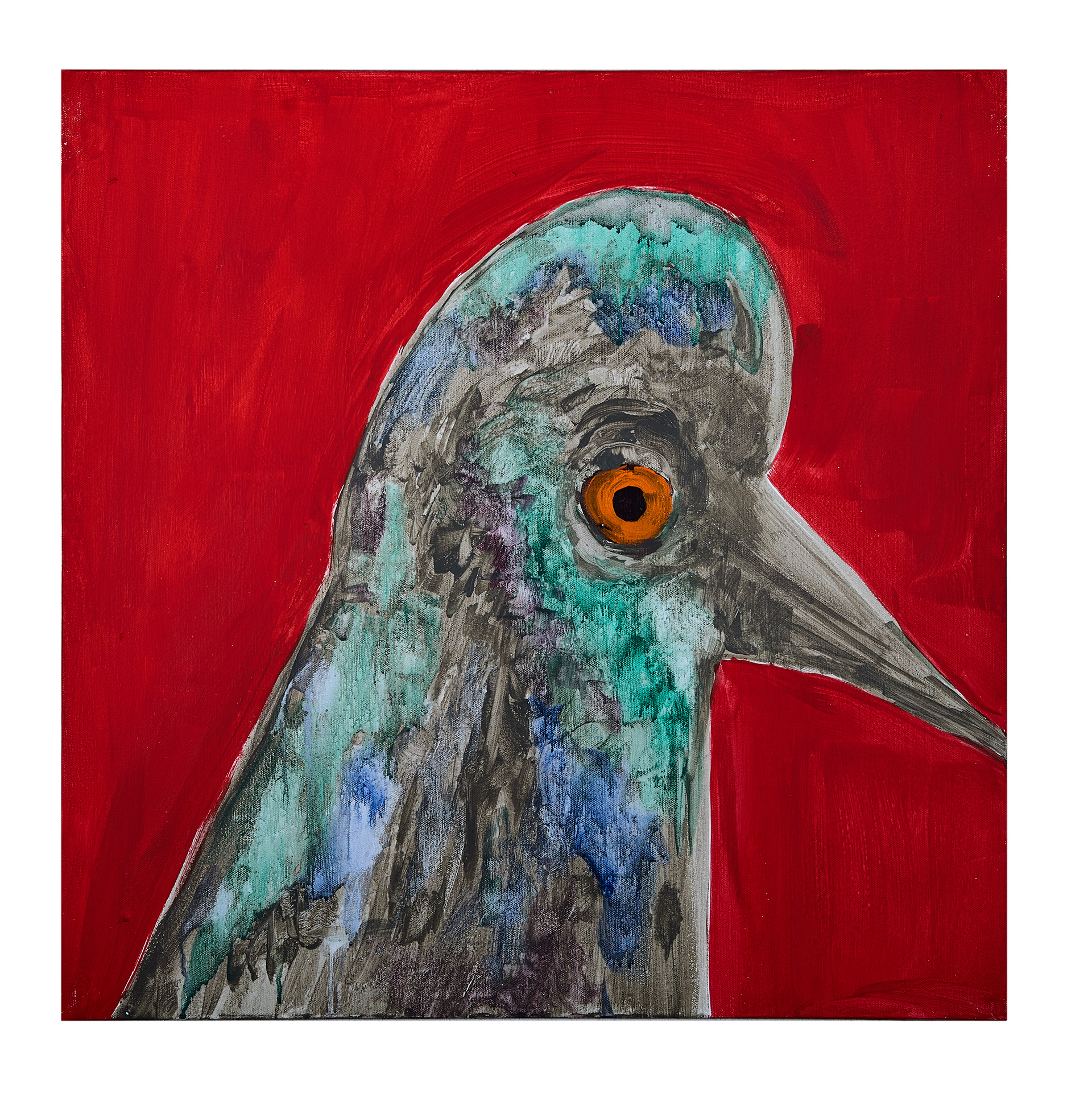 Tauben Studie, Acryl und Lack auf Leinwand, 56 x 56 cm, 2022