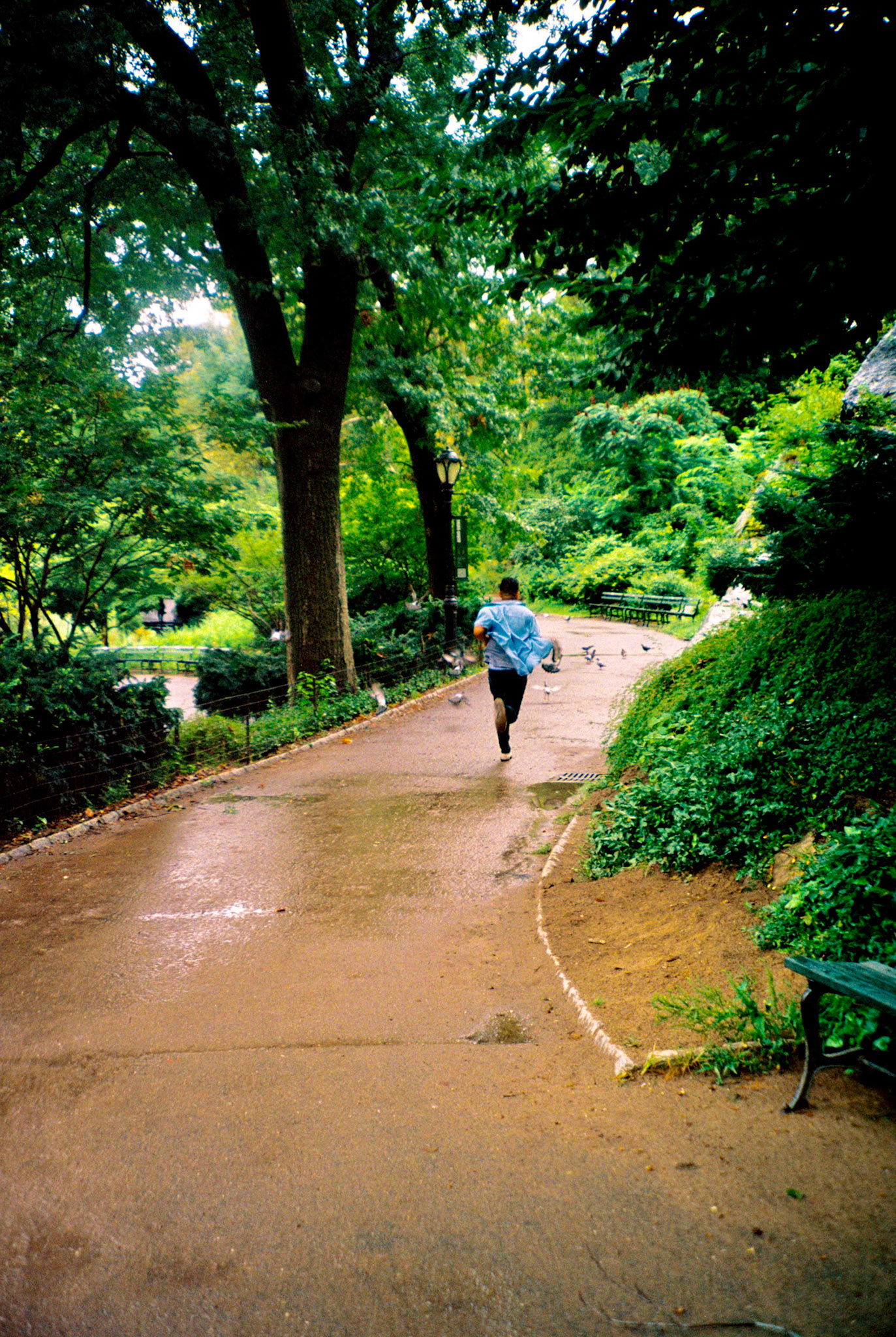 Lance Francisco (35mm film)