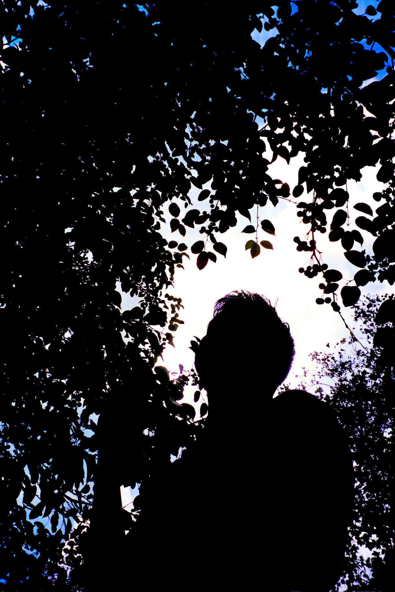 Lance Francisco (35mm film)