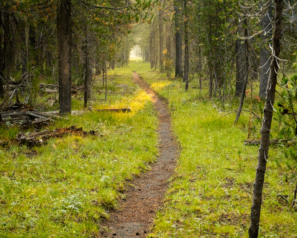Yellowstone Nat'l Park, WY