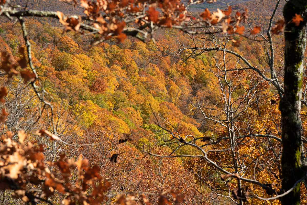 Ozark Mountains, AR