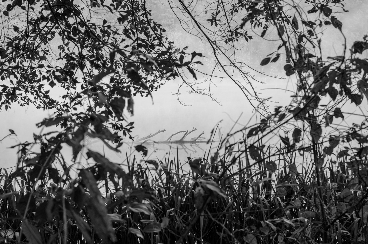 I Spy - Cedar Lake, OK