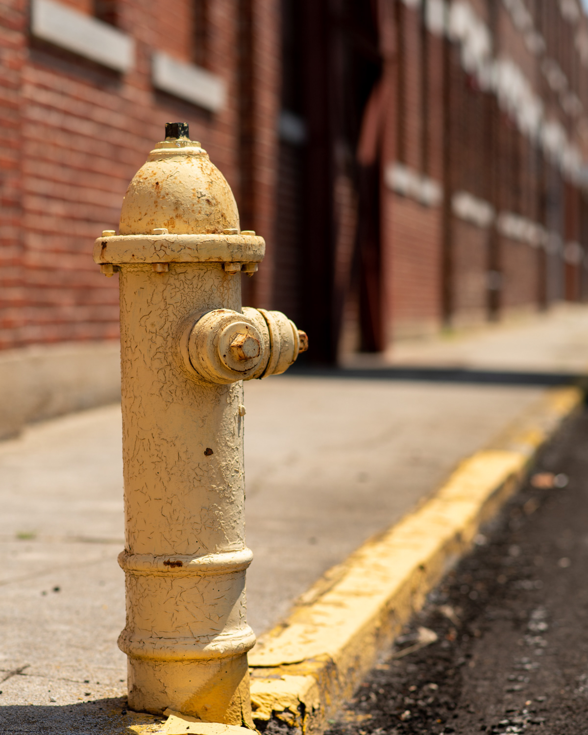 Carthage, MO Hydrant 1
