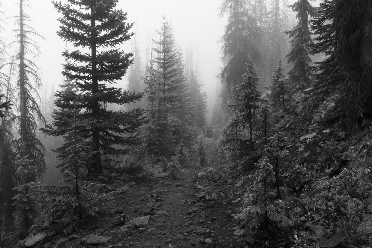 Rabbit Ears Range, CO