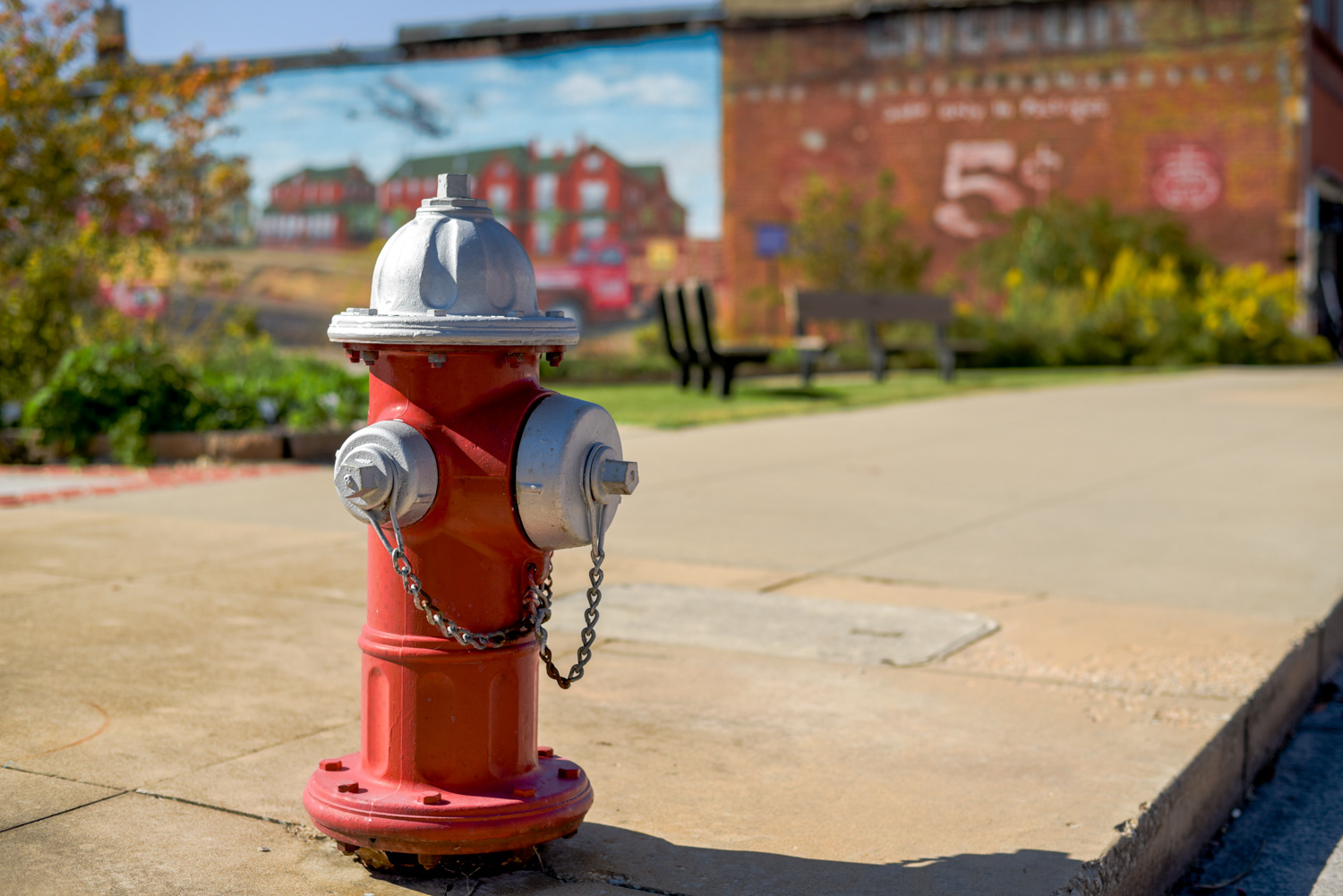 Monett, MO Hydrant 2