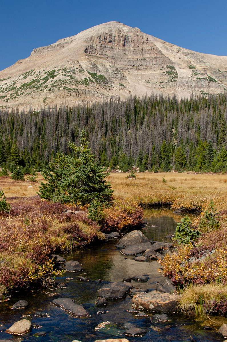 Creek and Peak - Uinta Mountains, UT