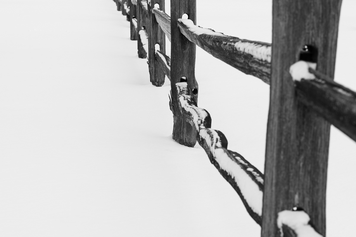 Fence Line - Midwest City, OK