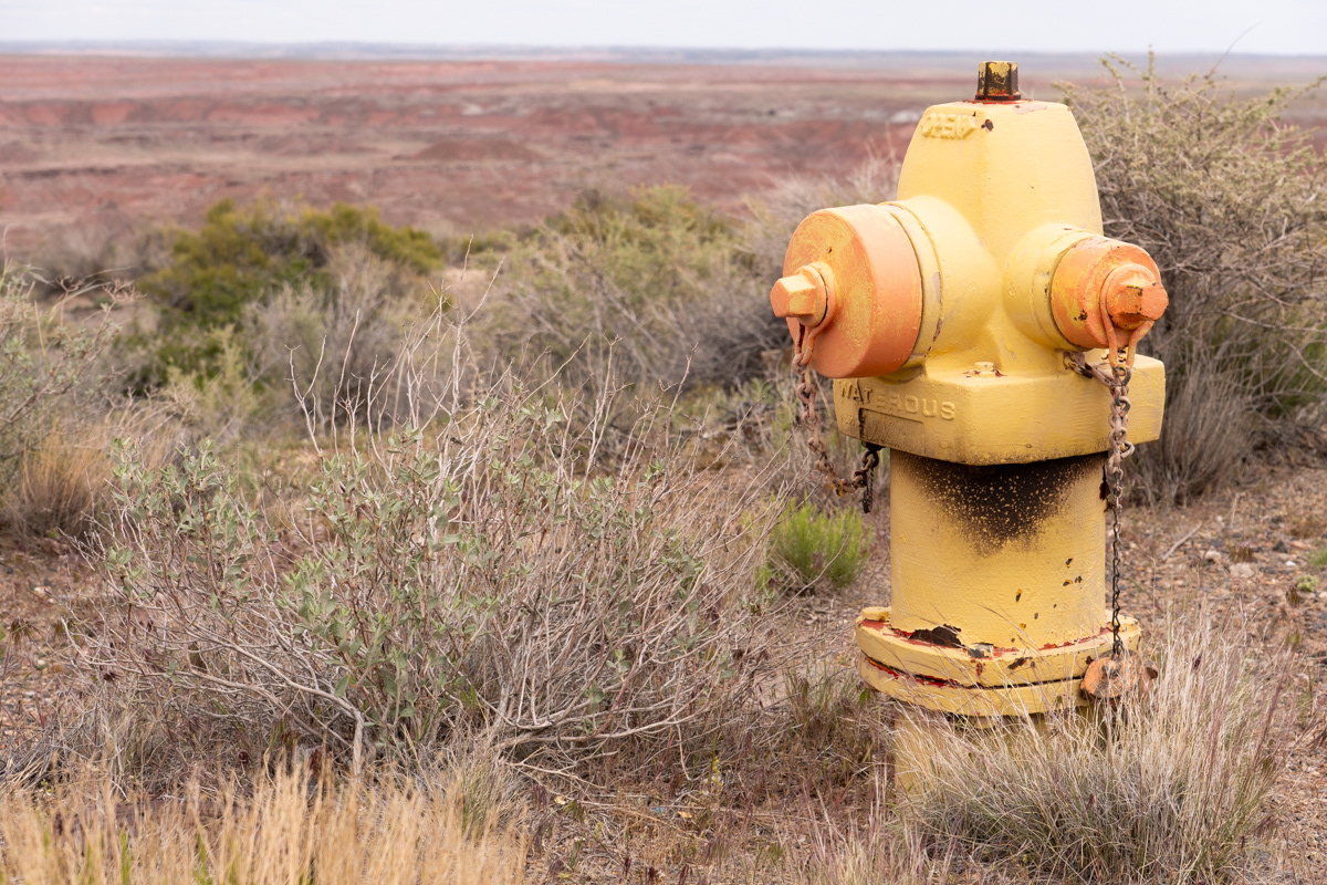 Petrified Forest National Park, AZ