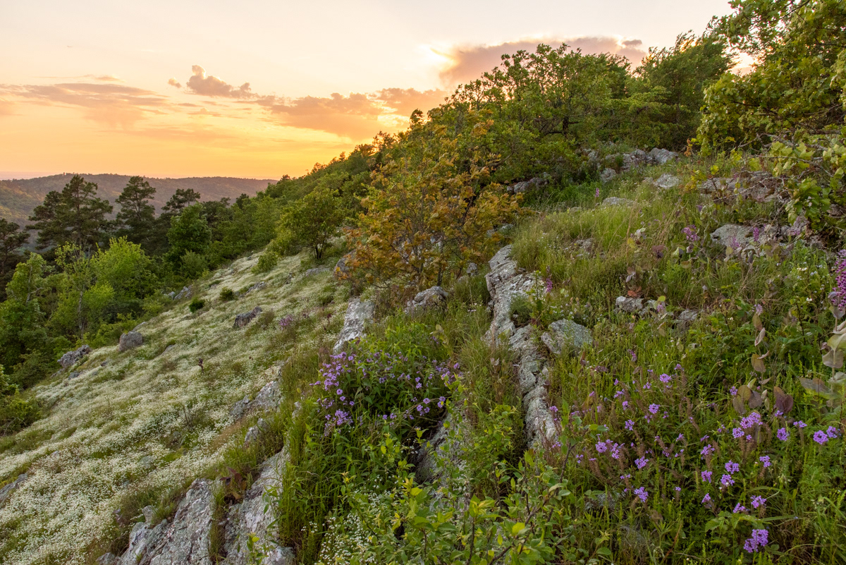 Patience Rewarded - Ouachita Mountains, AR