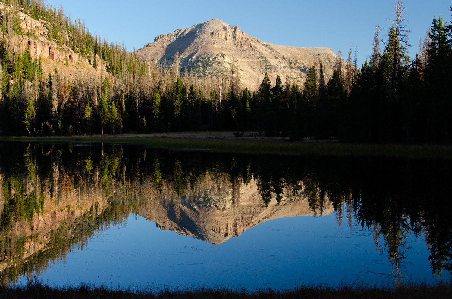 Morning Mirror