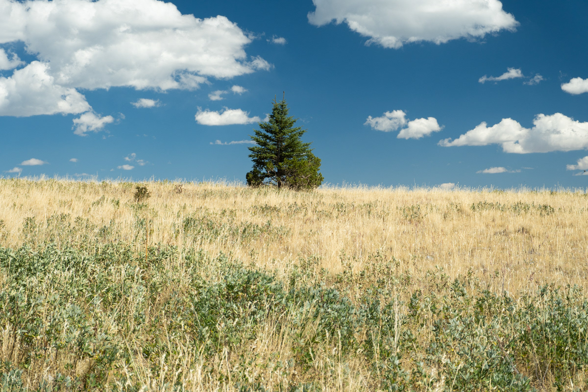 San Juan Mountains, NM