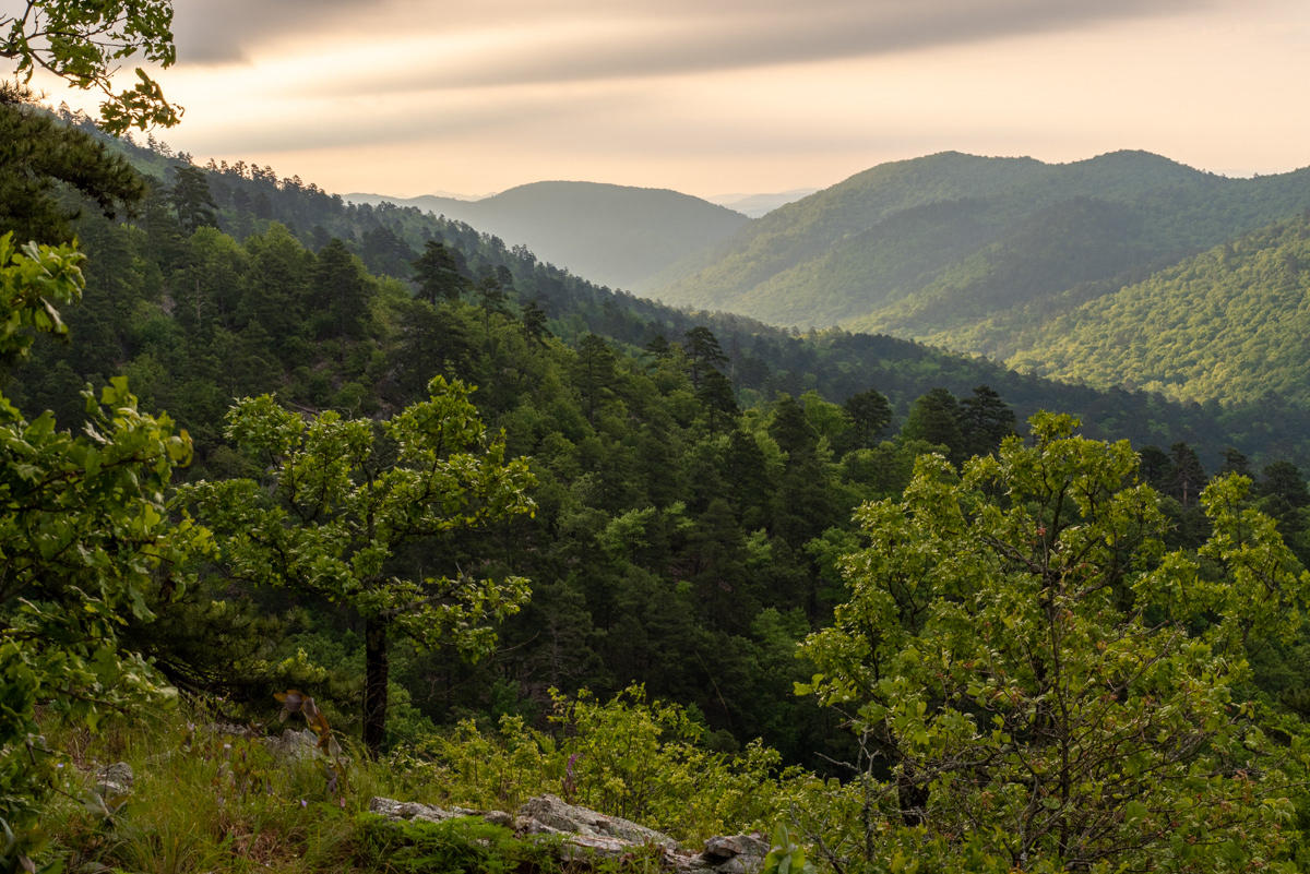 Ouachita Mountains, AR