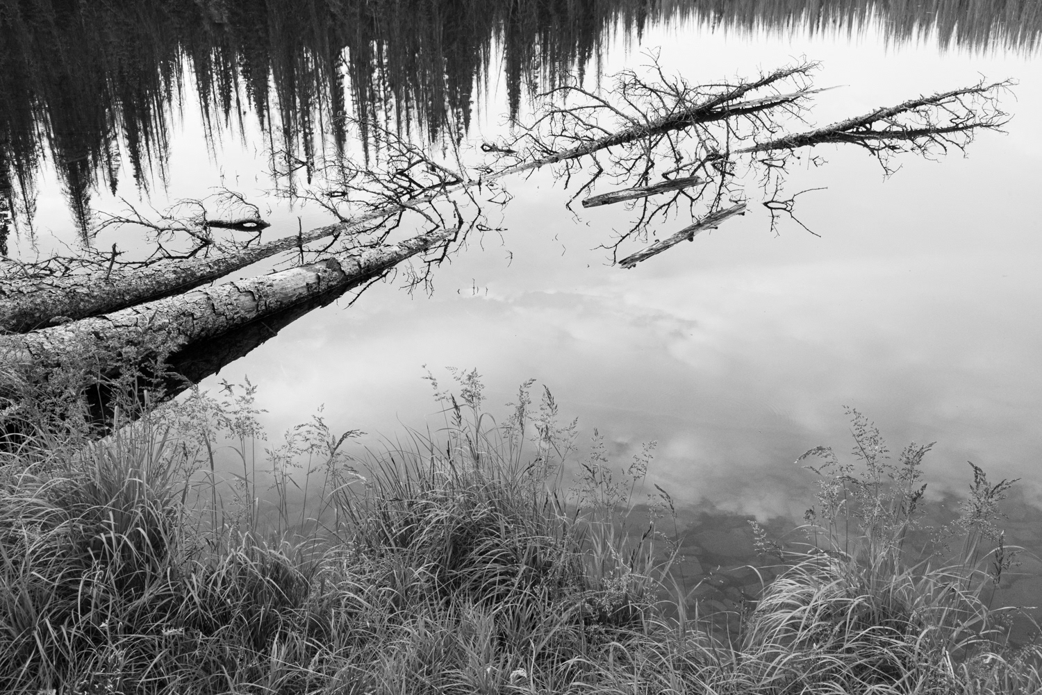 Resting Place