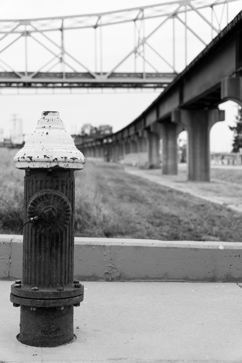 St. Louis, MO