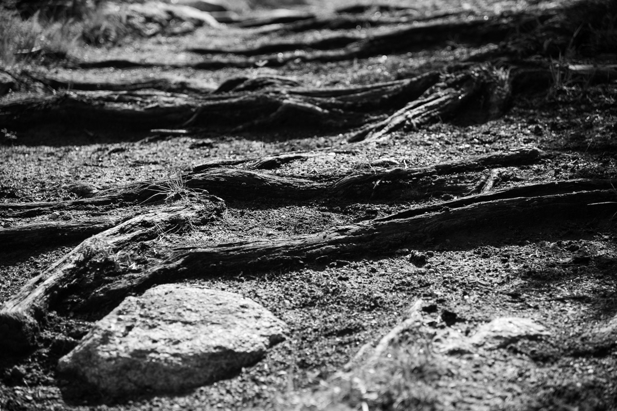 Trip Hazard - I had passed up a similar picture earlier in my trip and regretted it a bit later on. Thankfully I got another chance in a different spot later on.