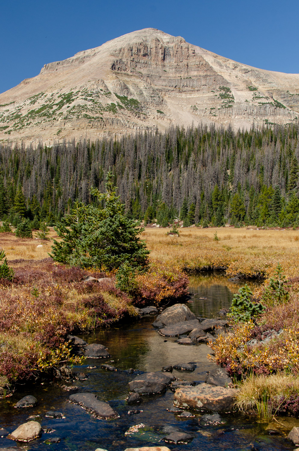 Creek and Peak