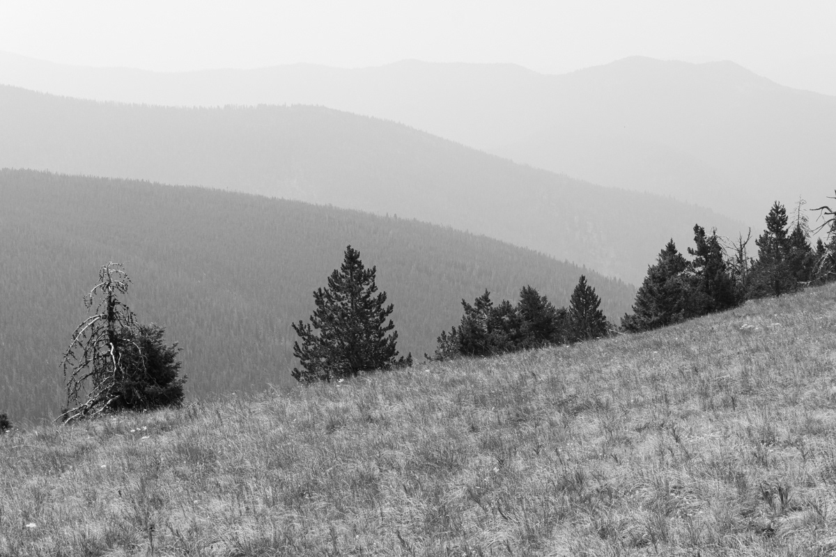 Lewis and Clark Range, MT