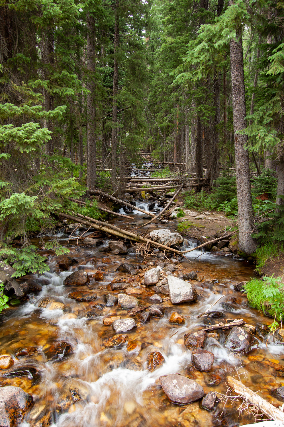 Up a Creek