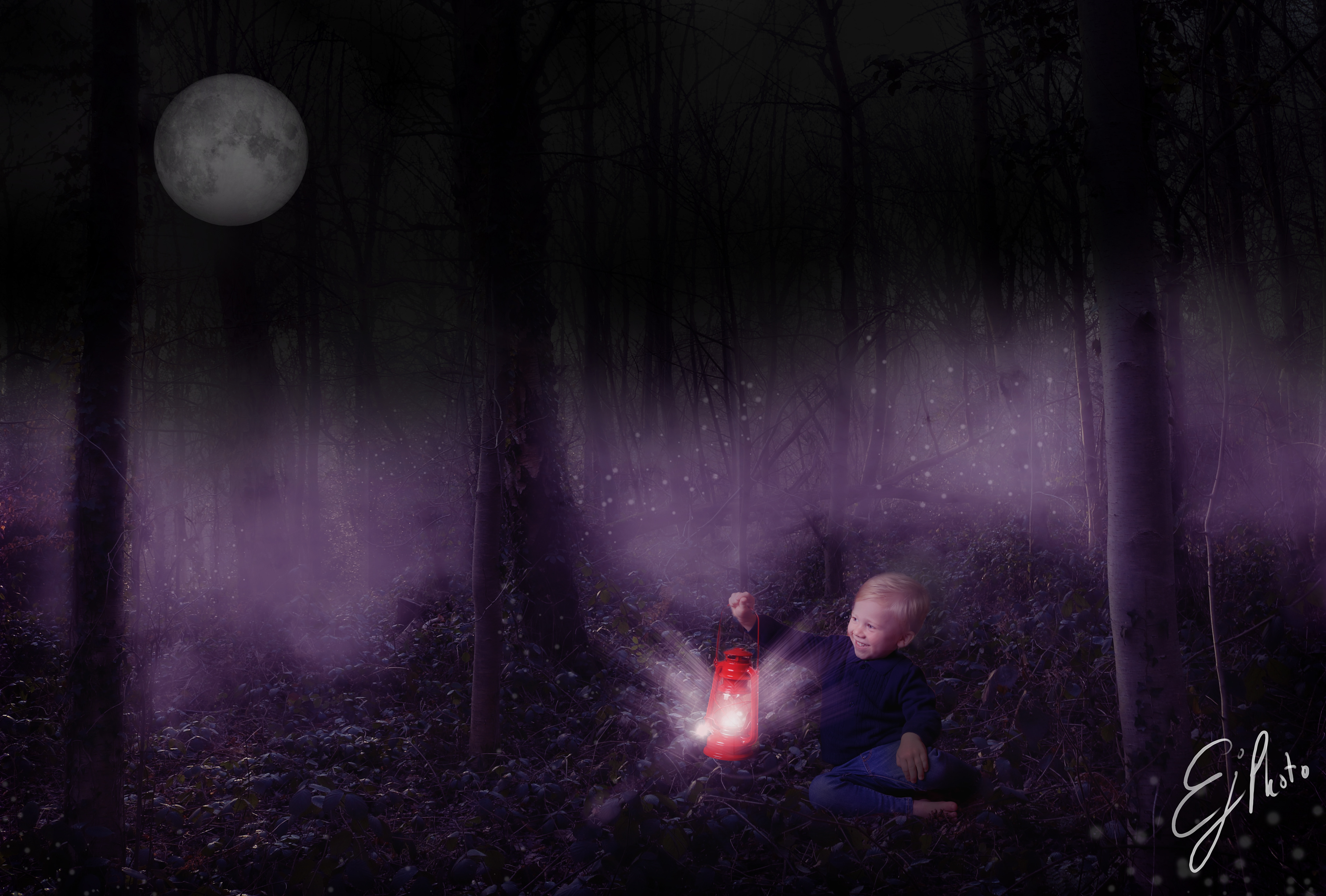 Spooky Forest