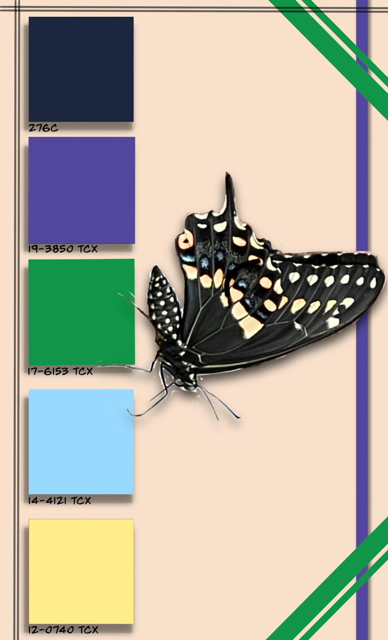 Color Story