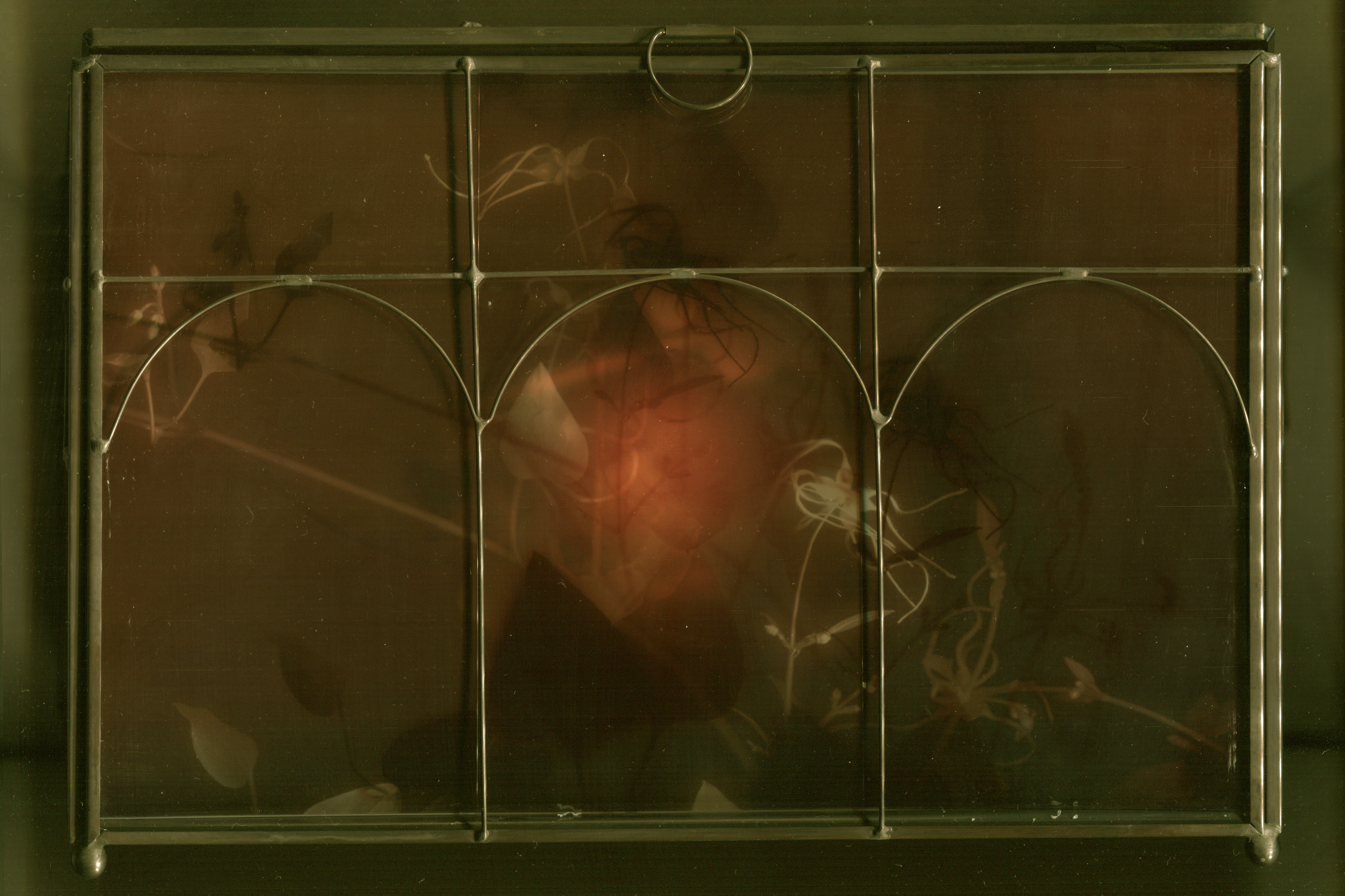 Scanography, 24x36, November 2025