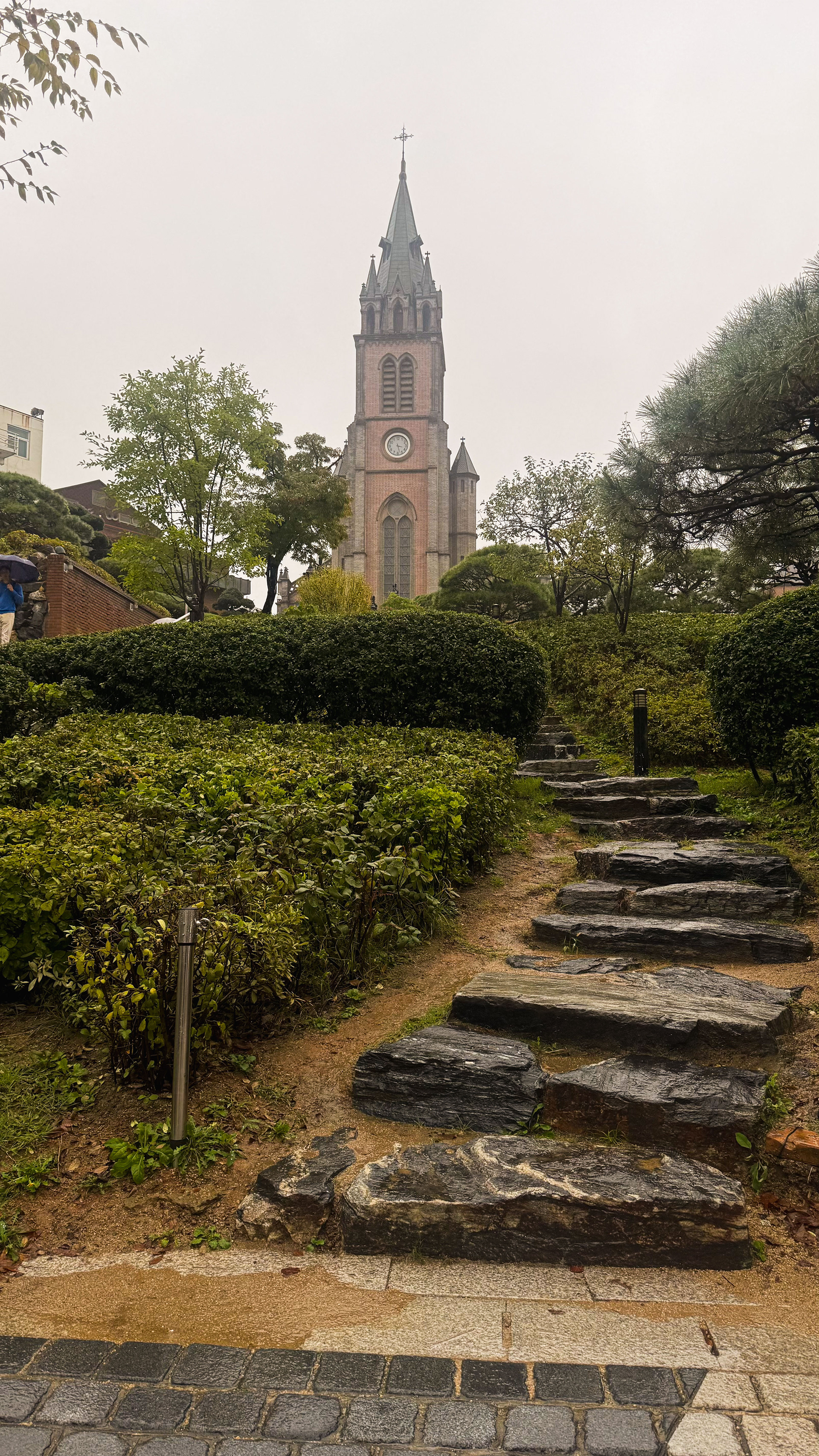 myeongdong cathedral