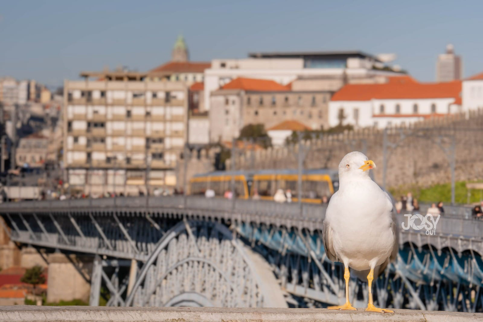 Ponte Luís