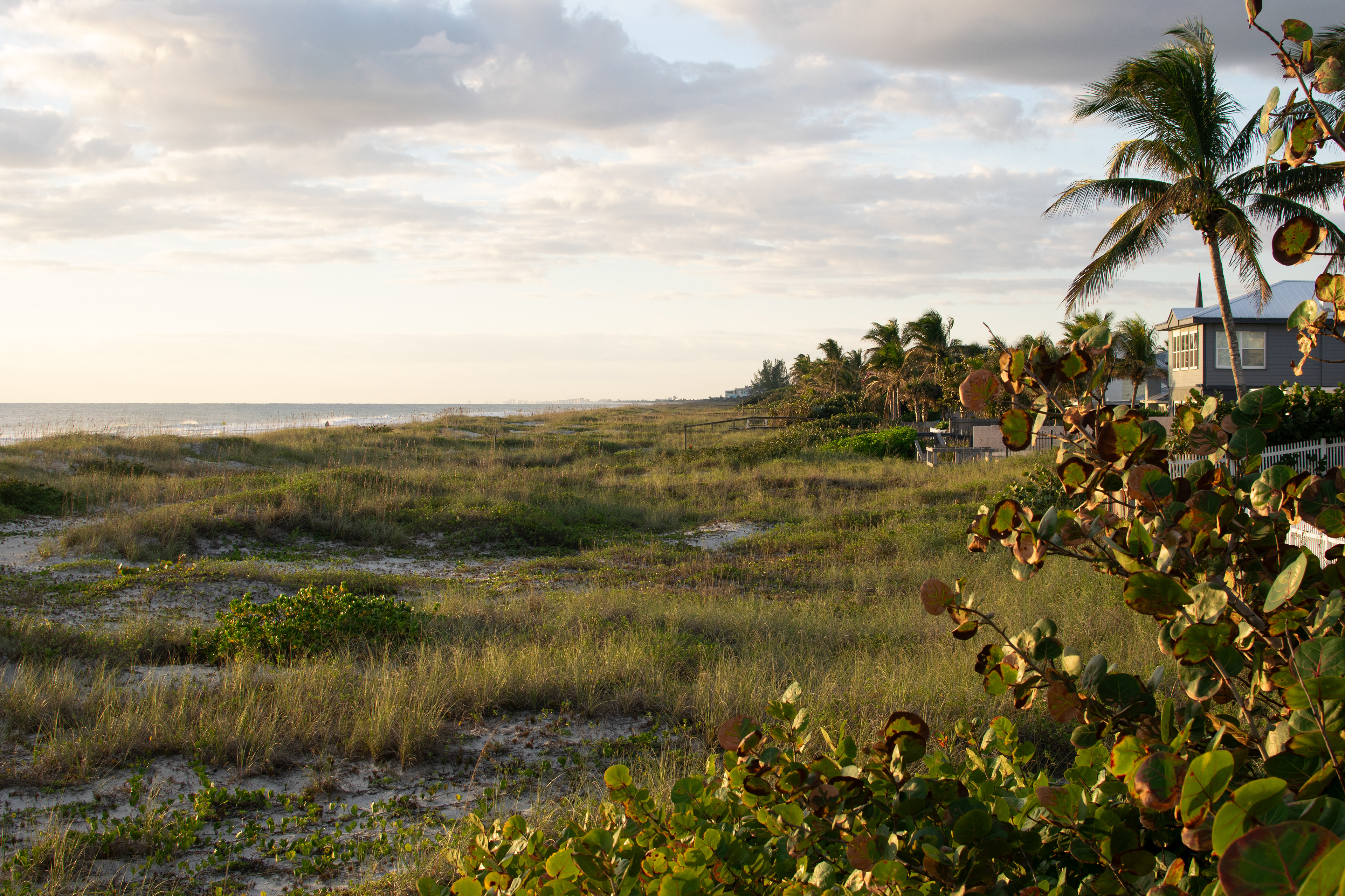 Sand Dune Valley at Cocoa Beach