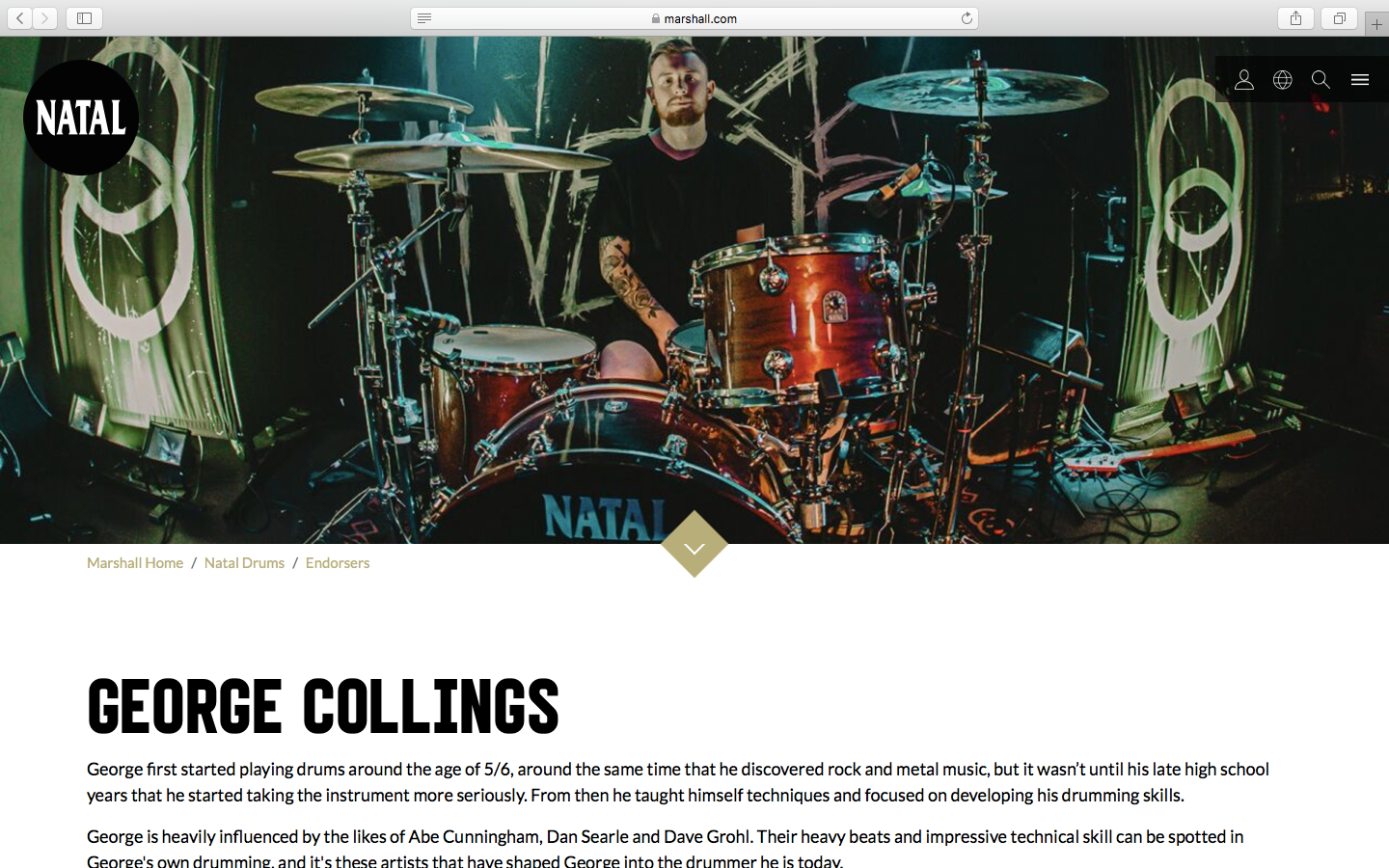 https://www.nataldrums.com/endorsers/george-collings-from-inside