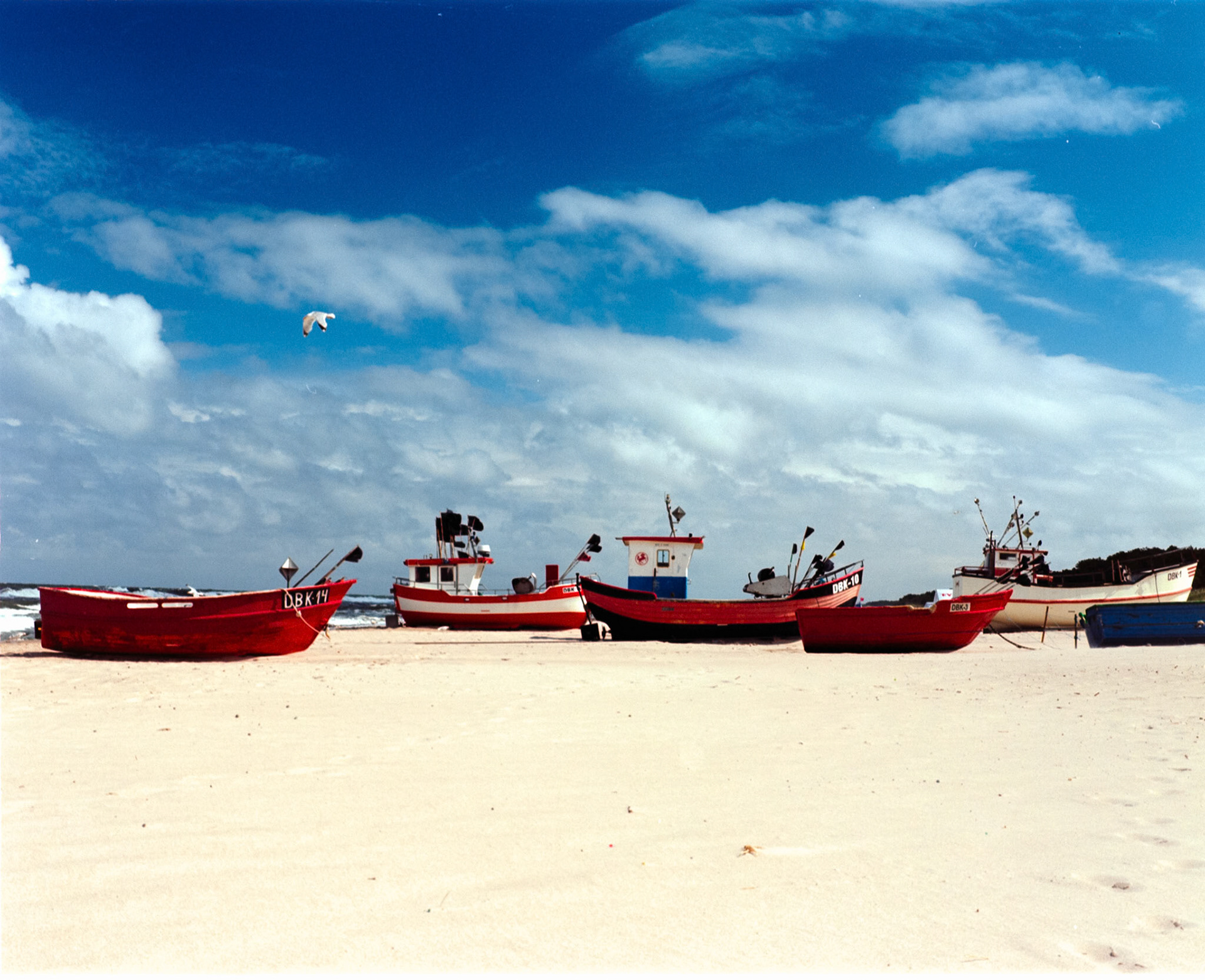 Negative Lab Pro v2.4.2 | Color Model: Basic | Pre-Sat: 3 | Tone Profile: LAB - Standard | WB: Auto-Neutral | LUT: Frontier