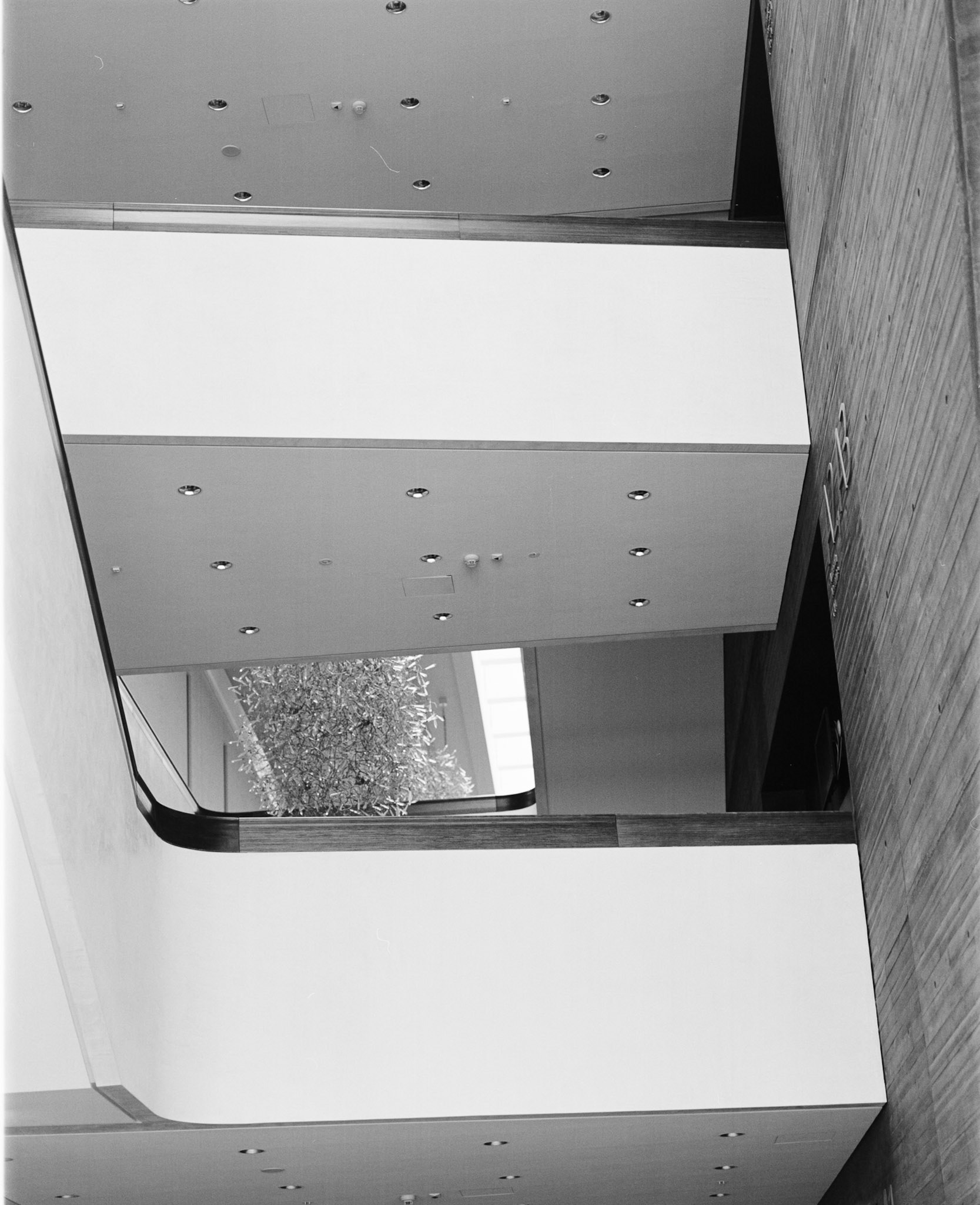 Negative Lab Pro v3.0.2 | Color Model: B+W | Pre-Sat: 2 | Tone Profile: LAB - Standard | WB: Auto-Neutral | LUT: Frontier