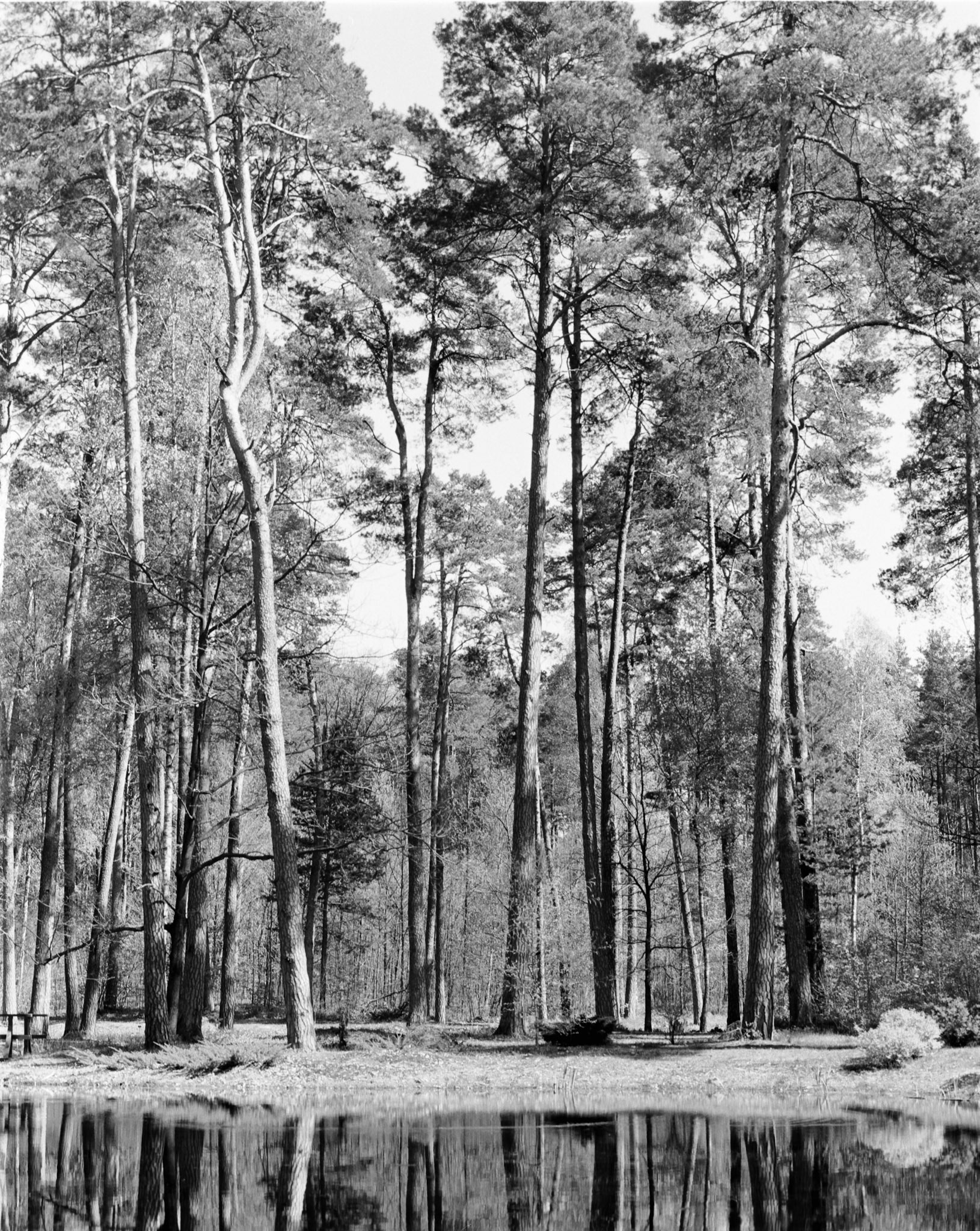 Negative Lab Pro v3.0.2 | Color Model: B+W | Pre-Sat: 3 | Tone Profile: LAB - Standard | WB: Auto-Neutral | LUT: Frontier