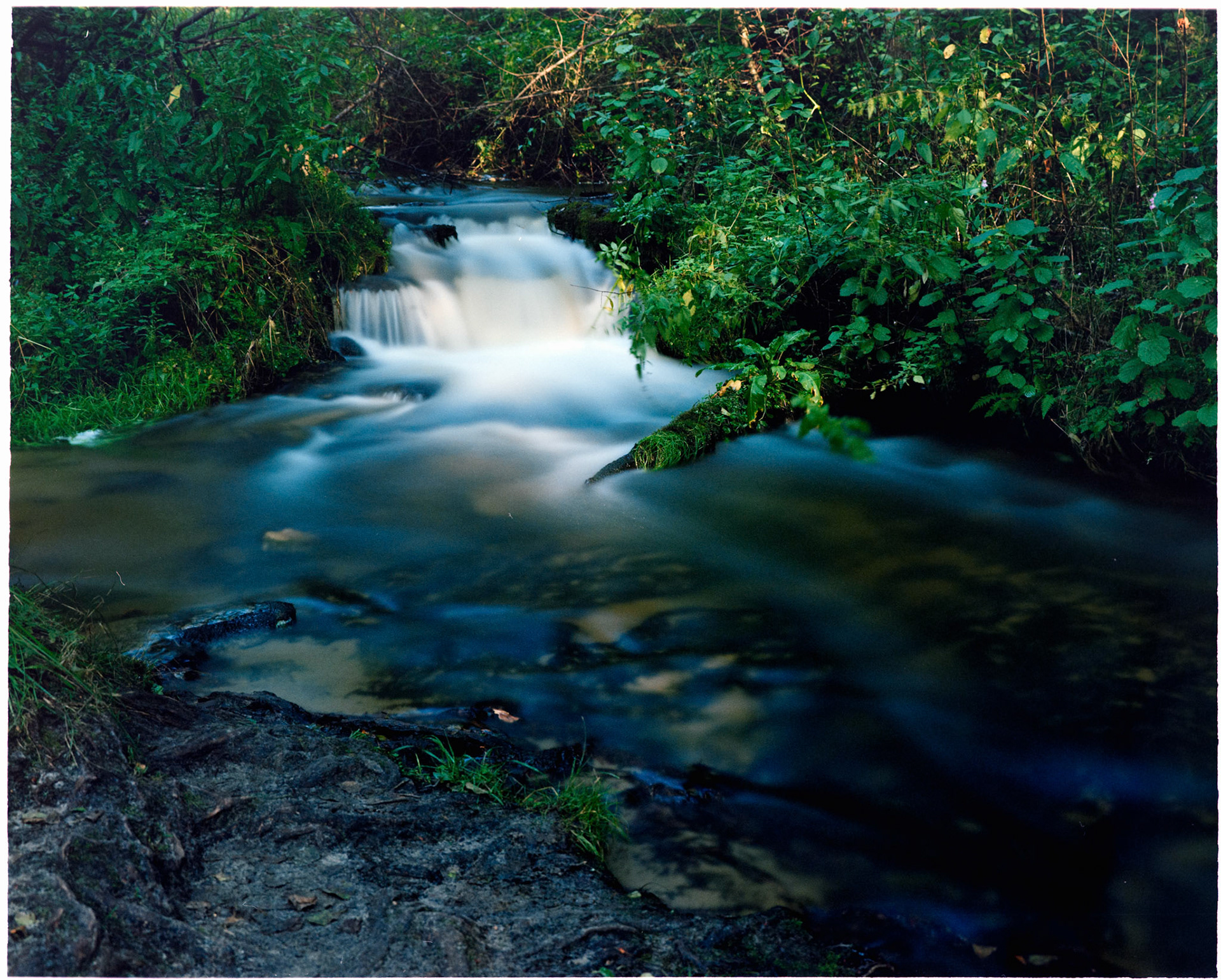 Negative Lab Pro v3.0.2 | Color Model: Frontier | Pre-Sat: 3 | Tone Profile: LAB - Standard | WB: Auto-Neutral | LUT: Frontier