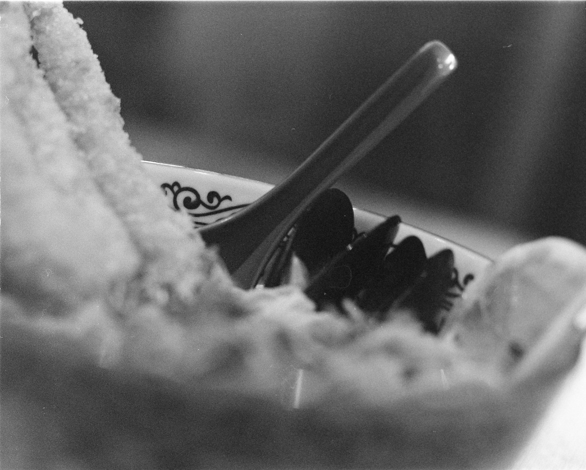 Negative Lab Pro v3.0.2 | Color Model: B+W | Pre-Sat: 3 | Tone Profile: Linear + Gamma | WB: None | LUT: Frontier