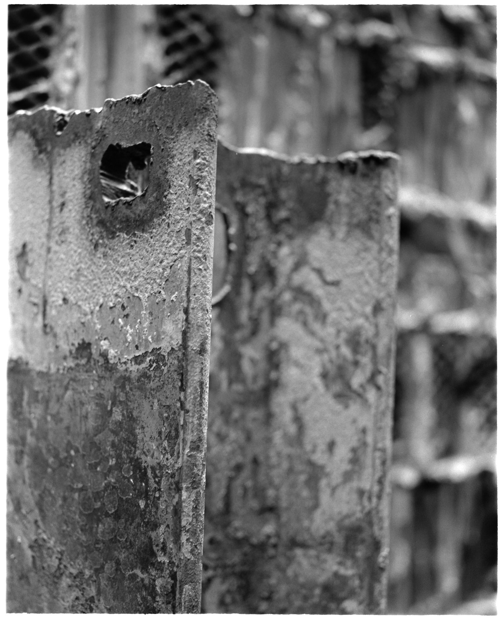 Negative Lab Pro v3.0.2 | Color Model: B+W | Pre-Sat: 3 | Tone Profile: Linear + Gamma | WB: None | LUT: Frontier