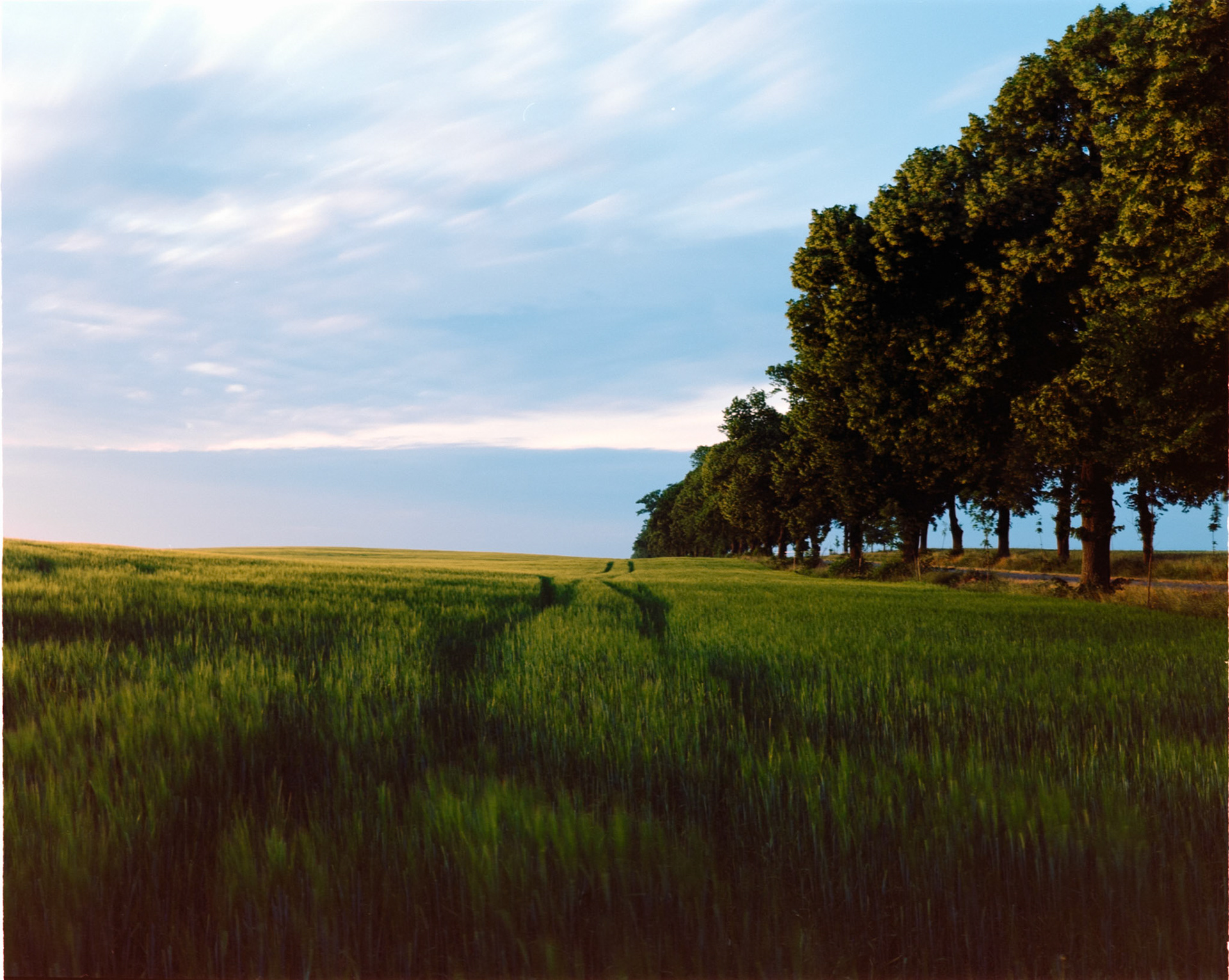 Negative Lab Pro v2.4.2 | Color Model: Basic | Pre-Sat: 3 | Tone Profile: LAB - Standard | WB: Auto-Neutral | LUT: Frontier