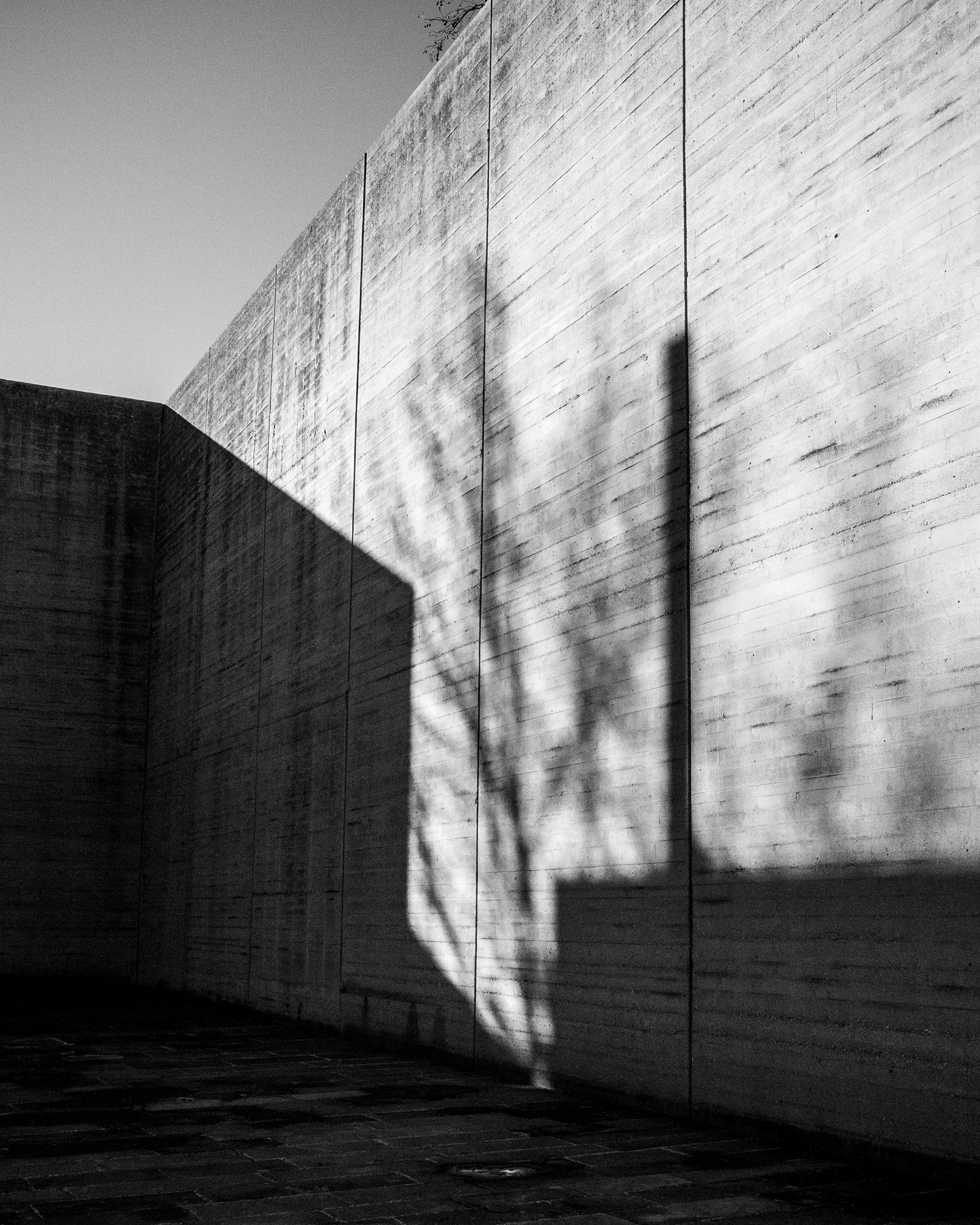 ombra del monumento a ricordo del camino