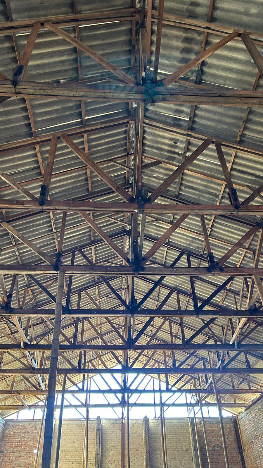 Estructura interna de la cubierta