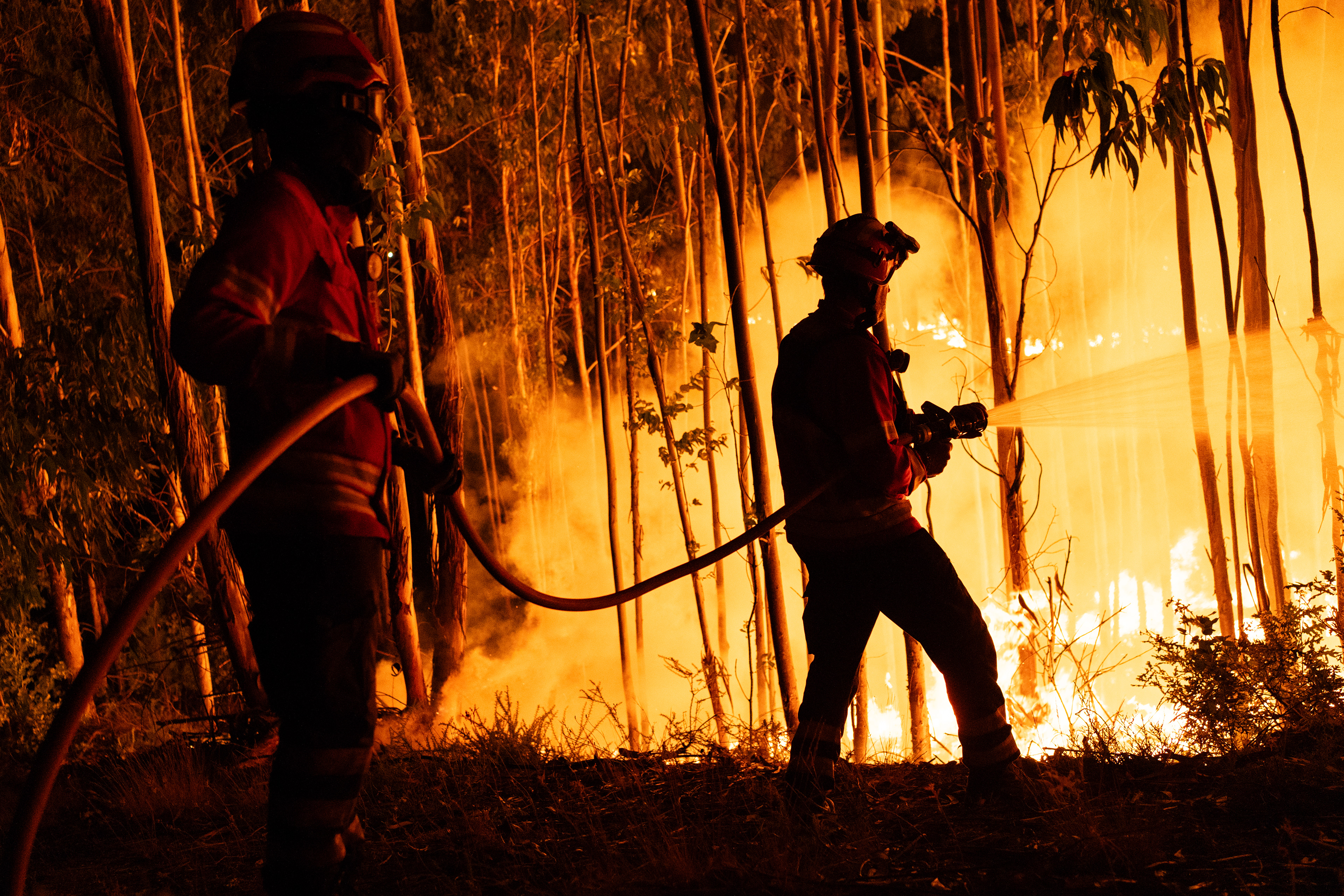 Incêndios florestais em Vouzela, 4 de julho de 2026