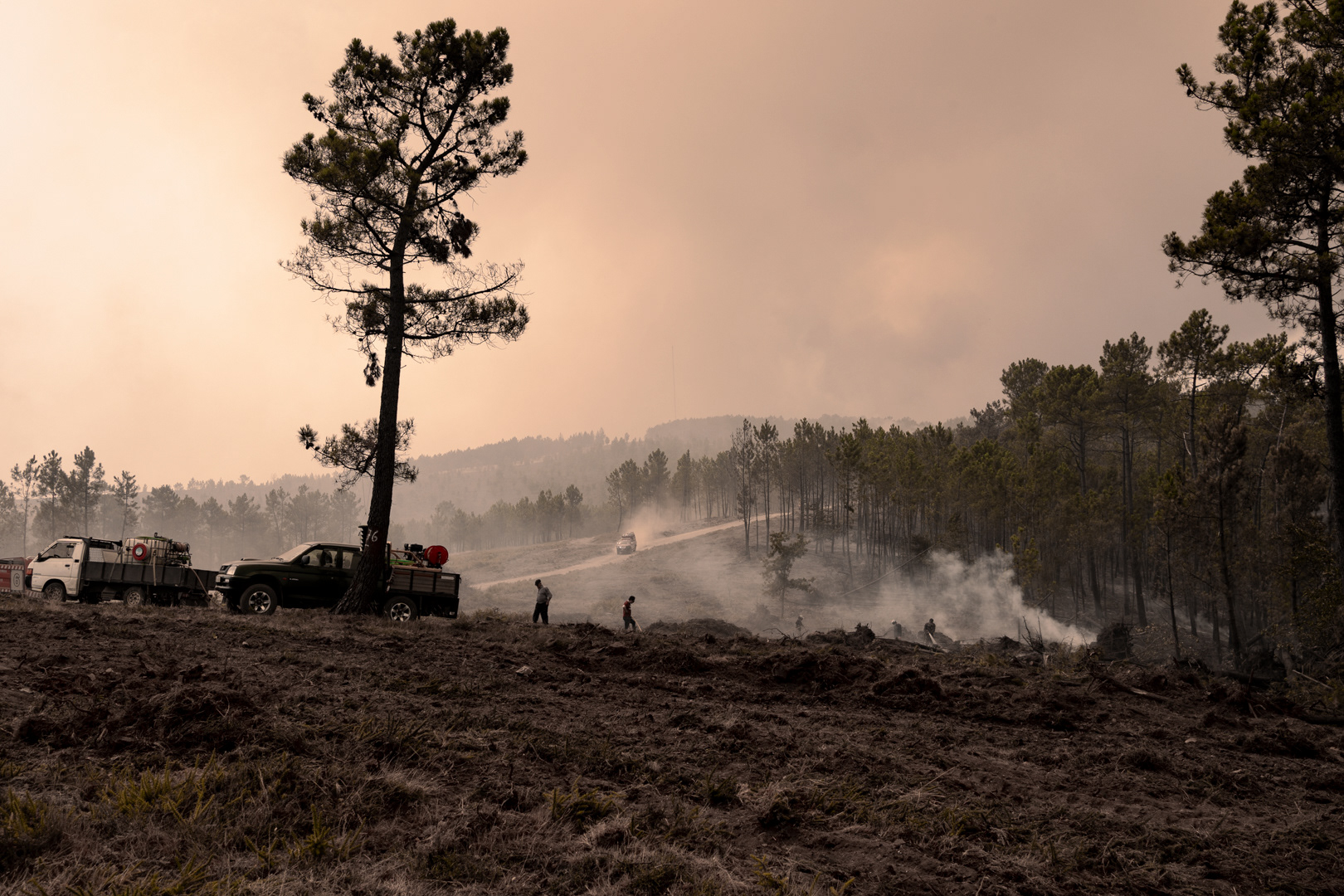 Incêndios florestais em Aigra-a-nova, 17 de agosto de 2025