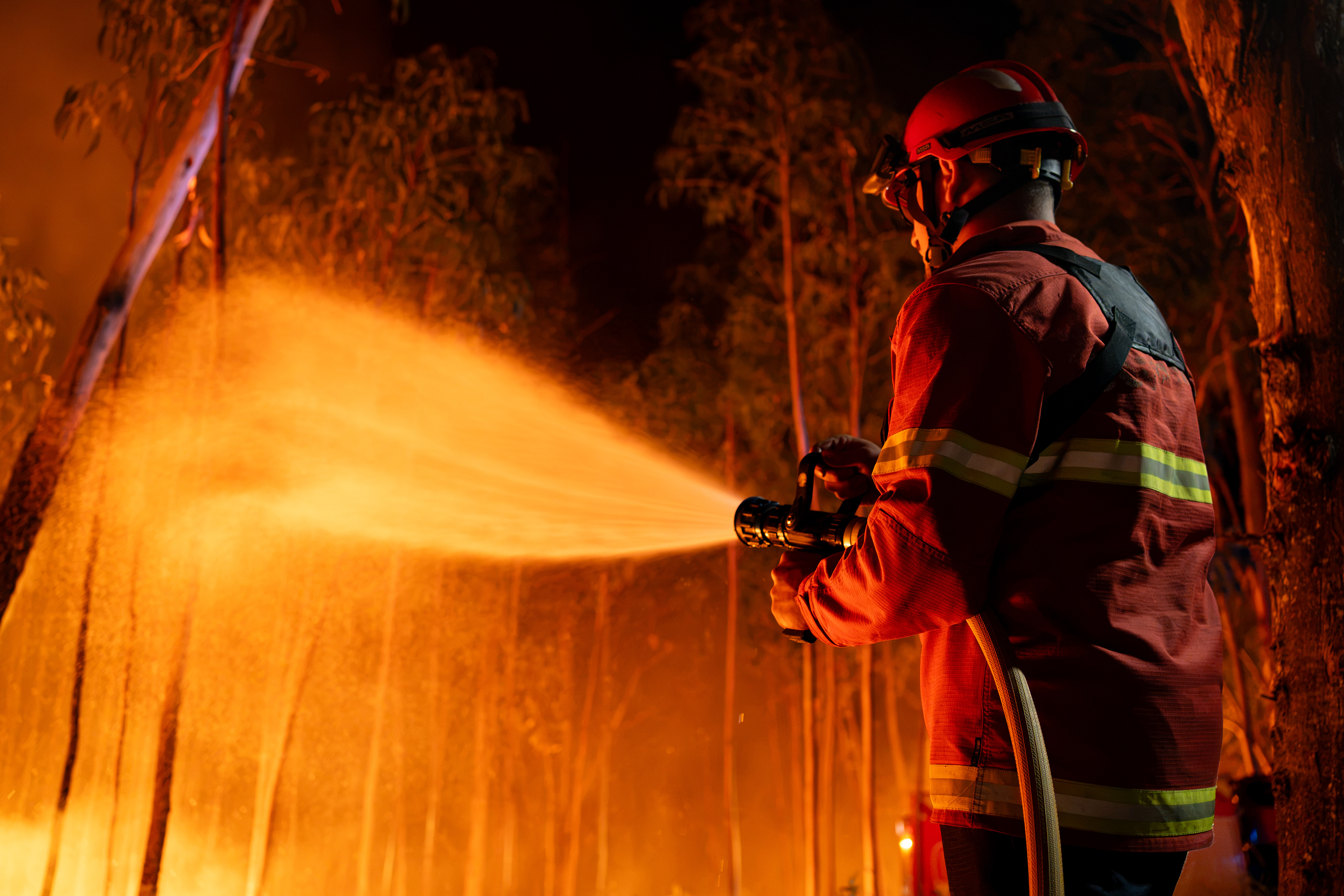 Incêndios florestais em Vouzela, 4 de julho de 2026