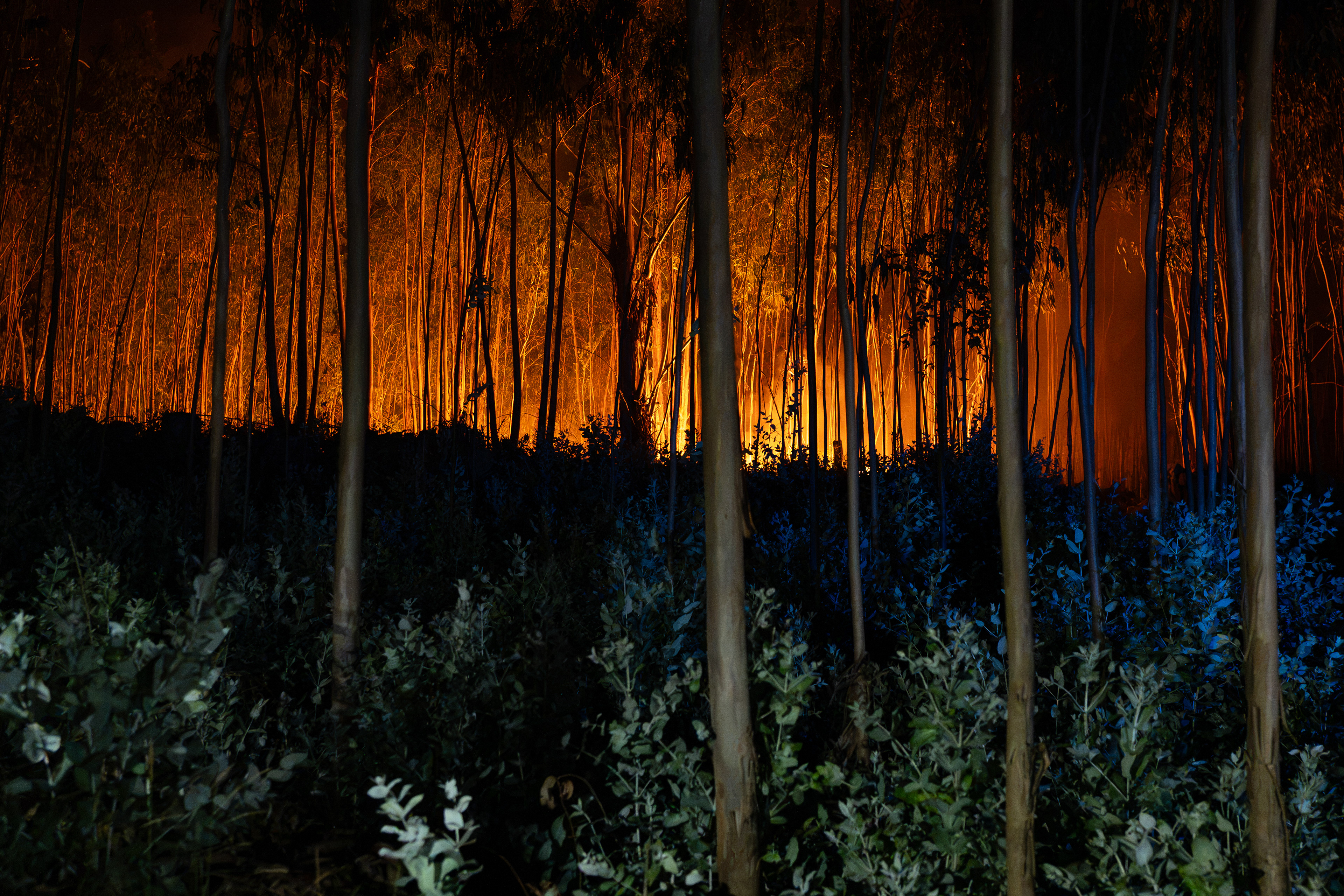 Incêndios florestais em Vouzela, 4 de julho de 2026