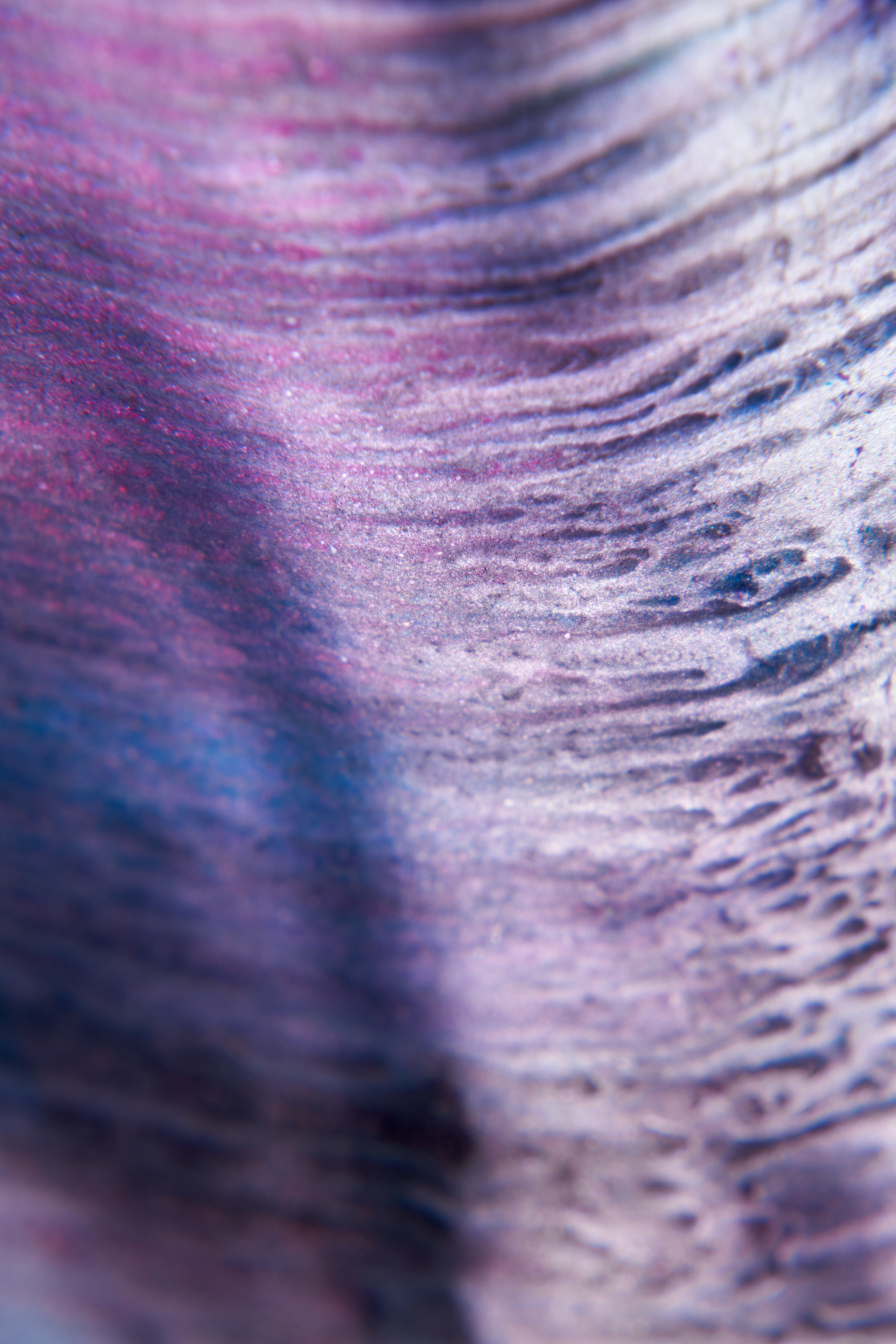 Ma force, ta fiablesse