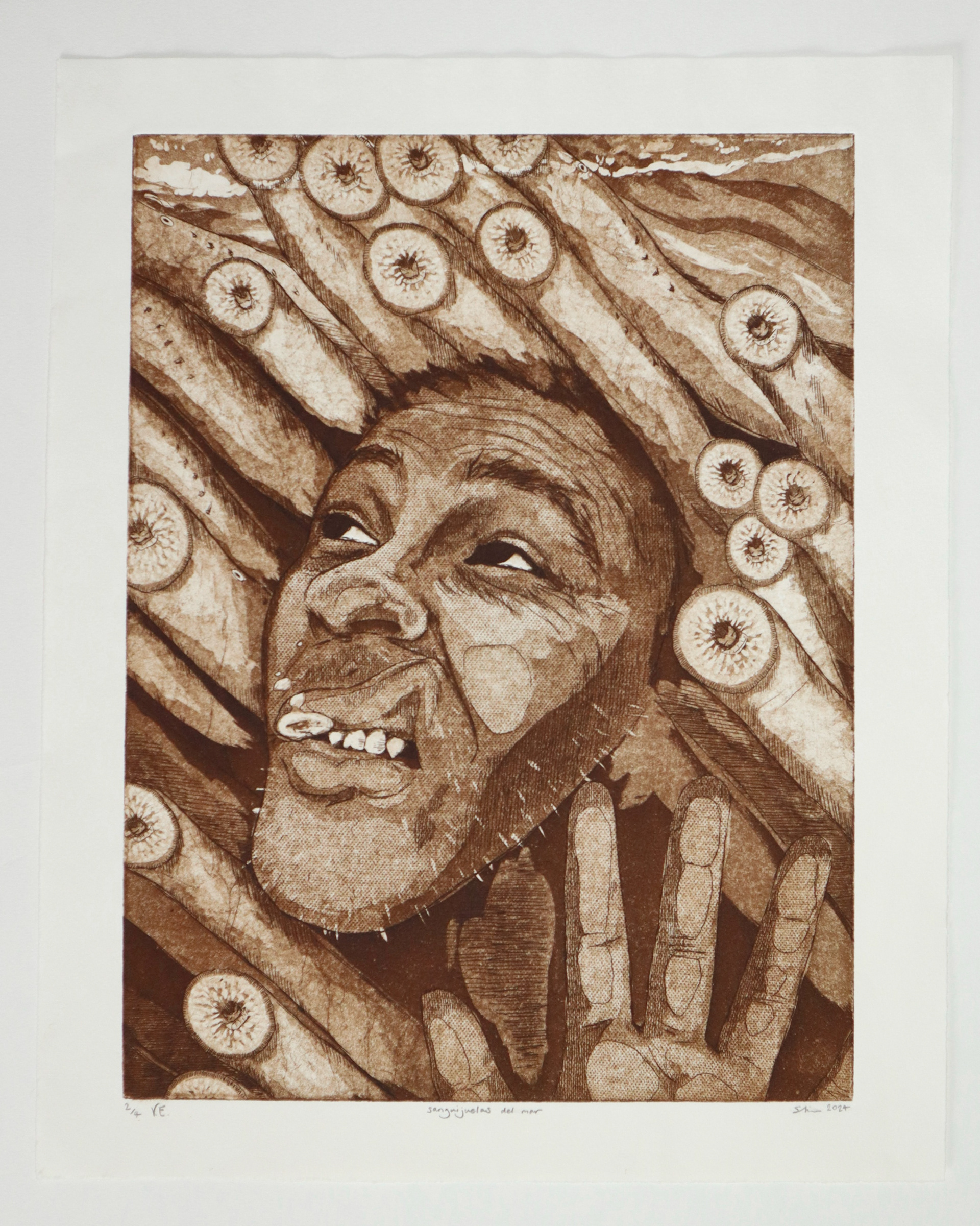 sangijuelas del mar. 2/4. Hard ground, soft ground, aquatint. 2024.