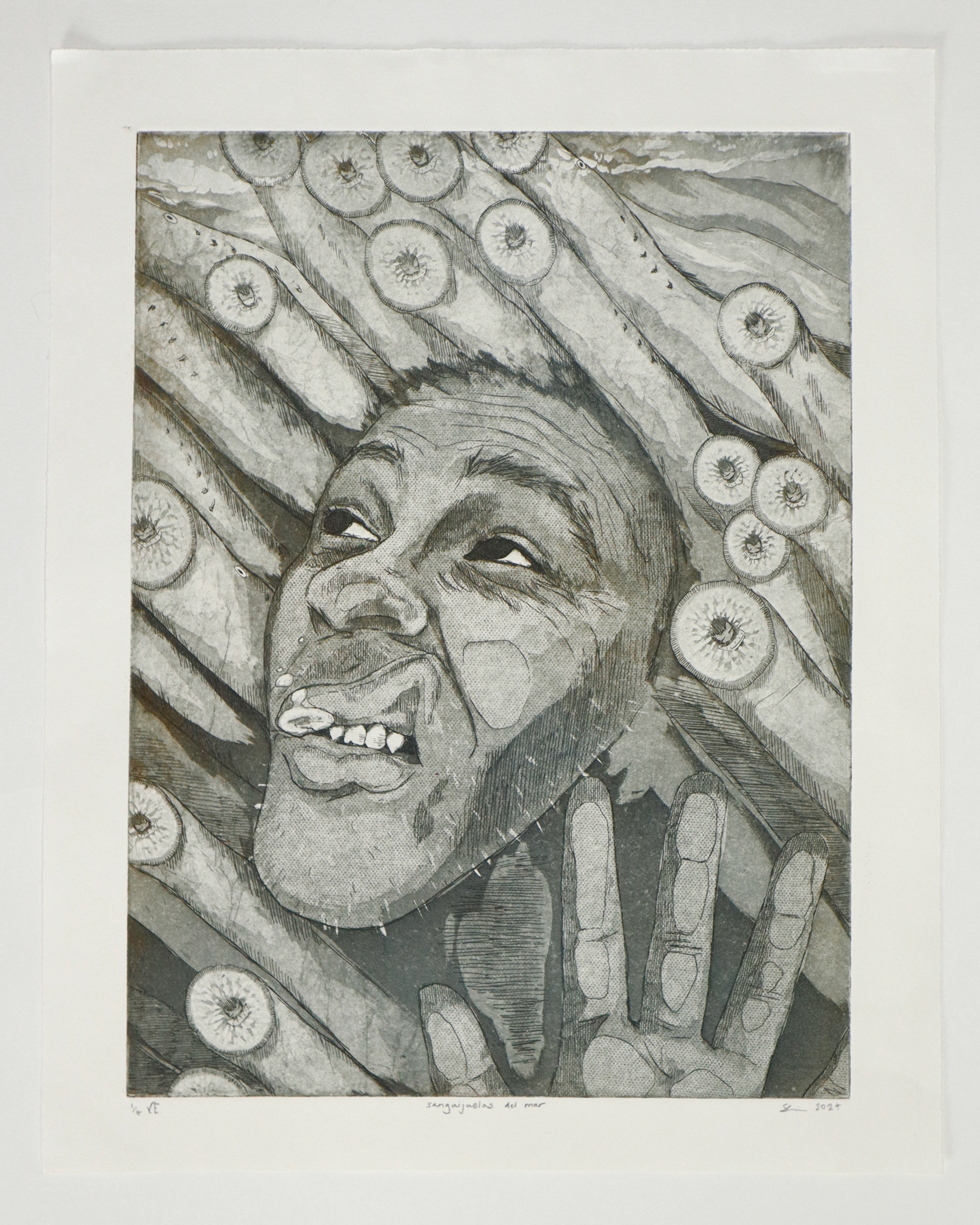 sangijuelas del mar. 1/4. Hard ground, soft ground, aquatint. 2024.