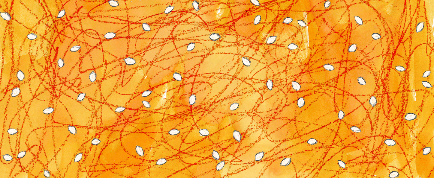 Mixed media illustration, using black biro, orange coloured pencil, orange watercolours, and digital editing. A heavily textured, full-bleed illustration, imitating the stringy pumpkin gunk, and seeds.
